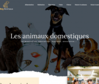 https://www.blog-animaux.fr