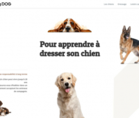 http://www.training-dog.fr